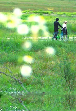 一本大道香蕉一区二区