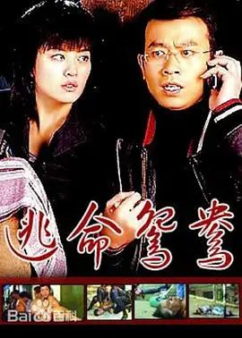a成人毛片免费观看