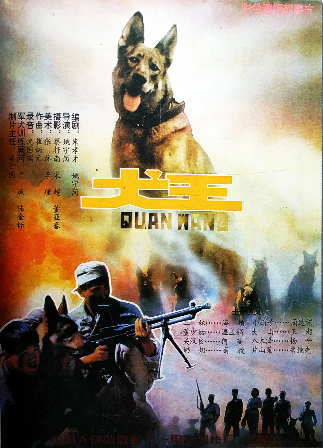 荔枝视频在线观看免费最新