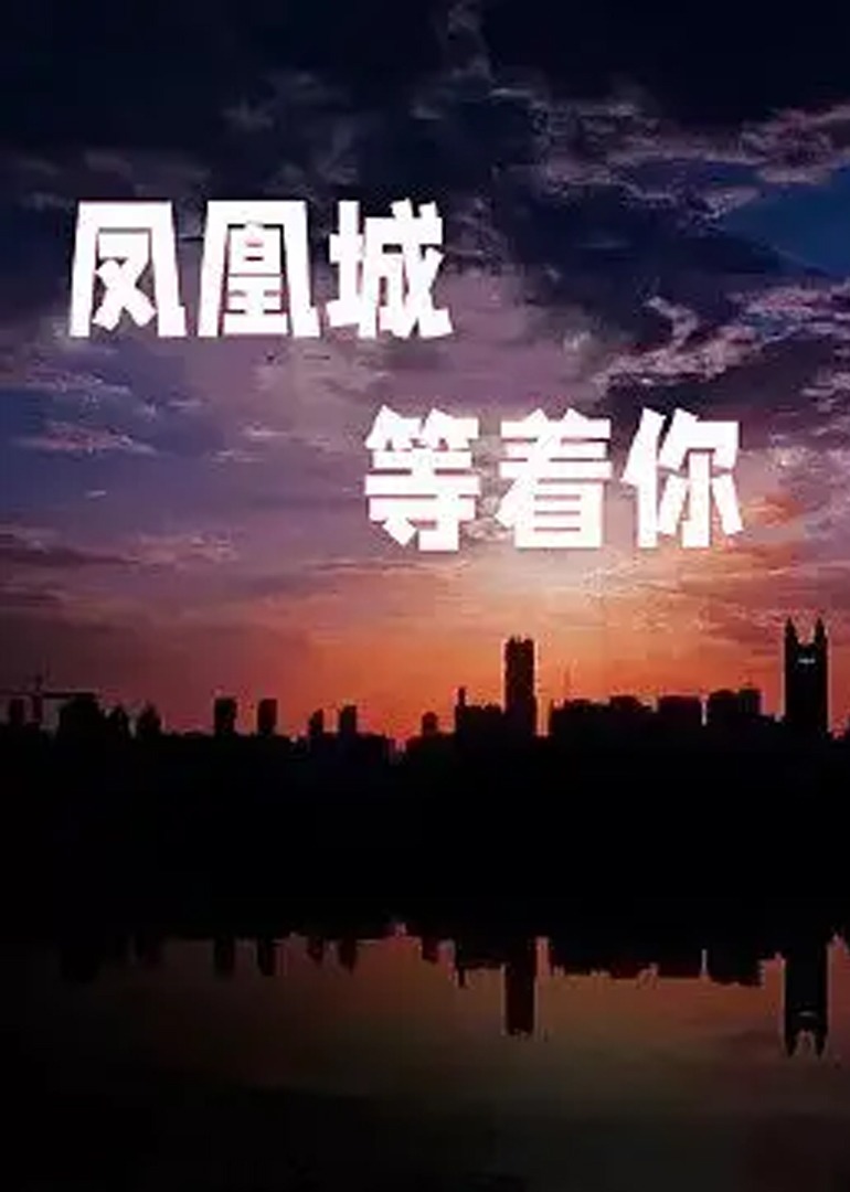 合理安排时间 - 超清高清在线