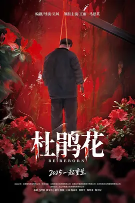亚洲精品456在线播放无广告