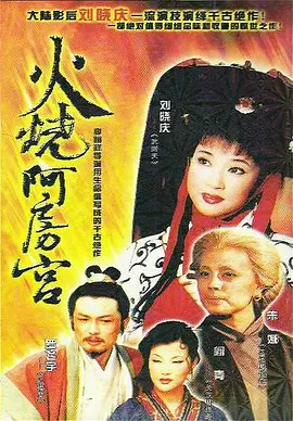 久久99精品久久久久久婷婷