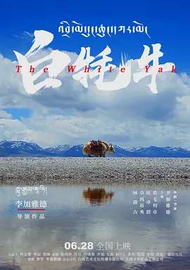 好男人的社区在线影视