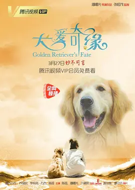 自拍另类小草社区