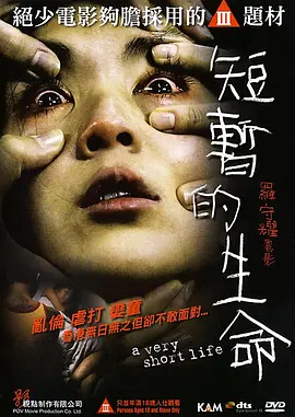 国产精品久久久久久网站